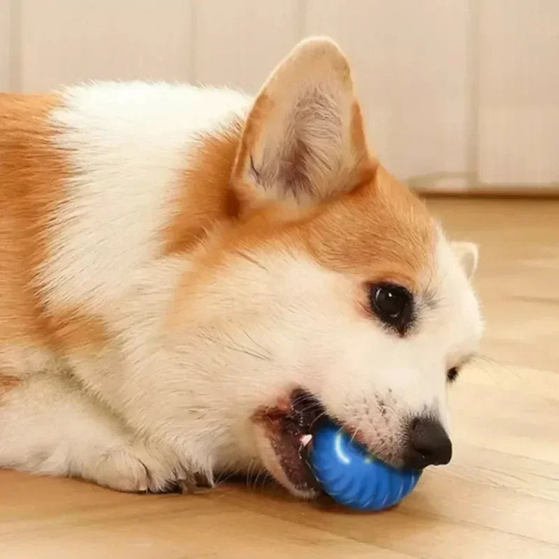 USB Smart Bouncing Dog Toy Ball