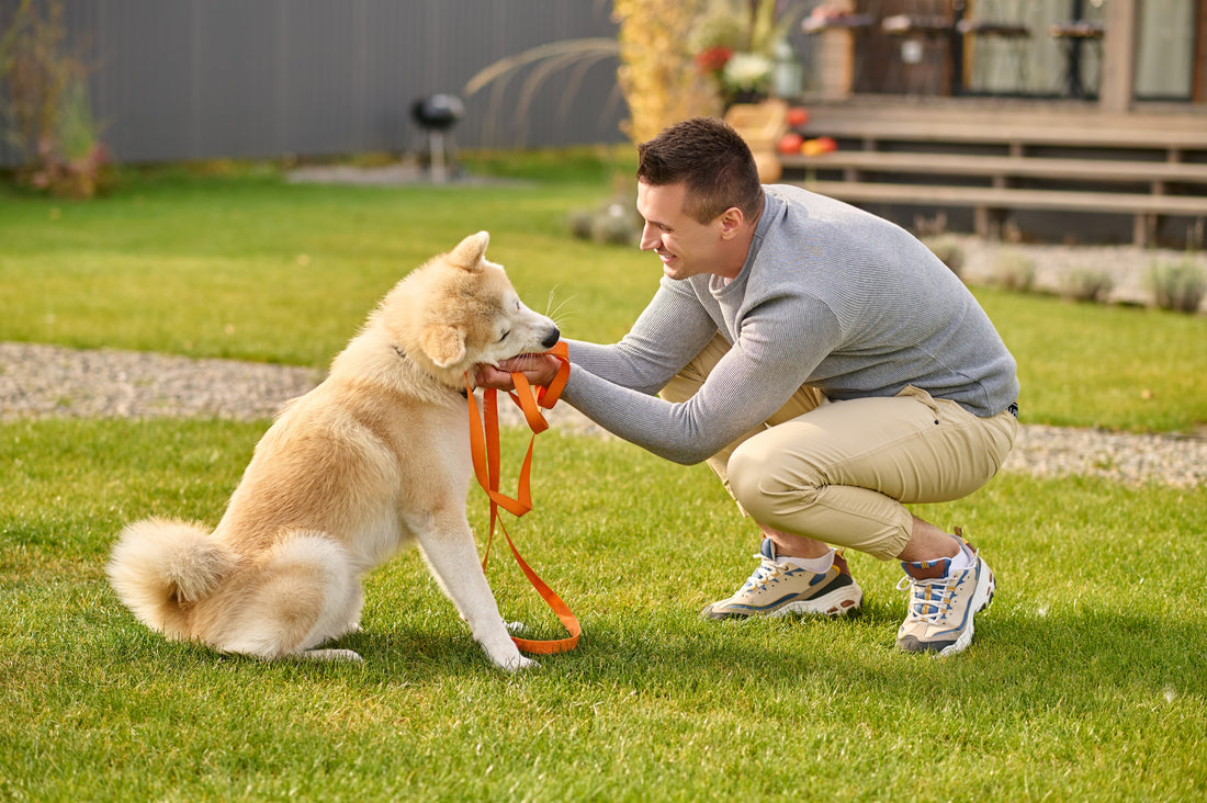 Top 5 Dog Toys Every Pup Will Love This Year