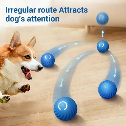 USB Smart Bouncing Dog Toy Ball
